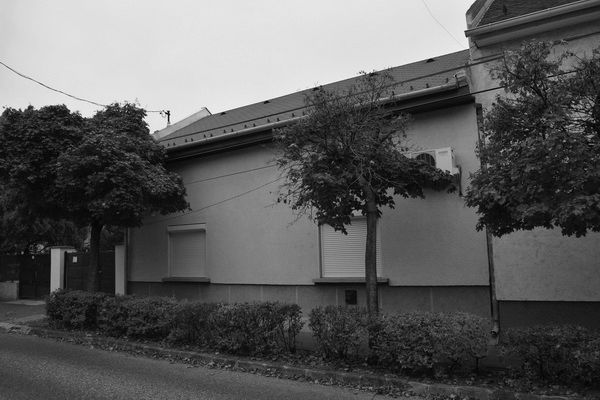DSC_1577_resize_resize.JPG