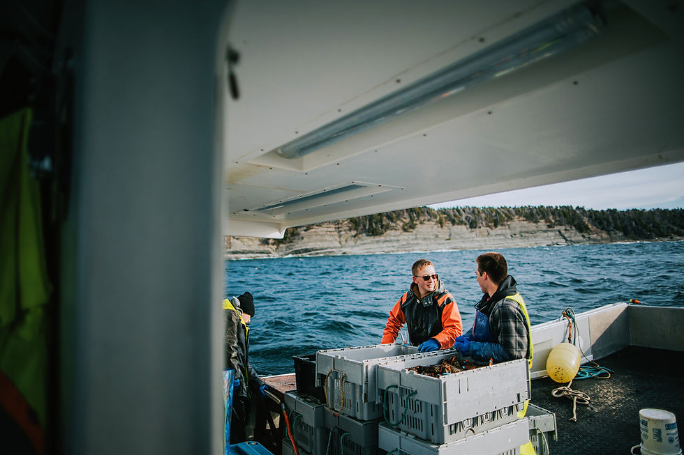 Two smiling men on the deck of a boat with boxes of caught lobster