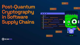 Post-Quantum Cryptography Visibility in Software Supply Chains