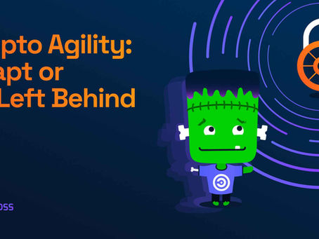 Crypto Agility: Adapt or Be Left Behind