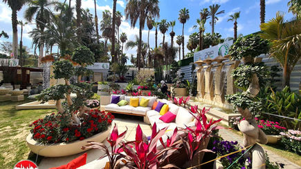 Kwiatowy zawrót głowy w Gizie