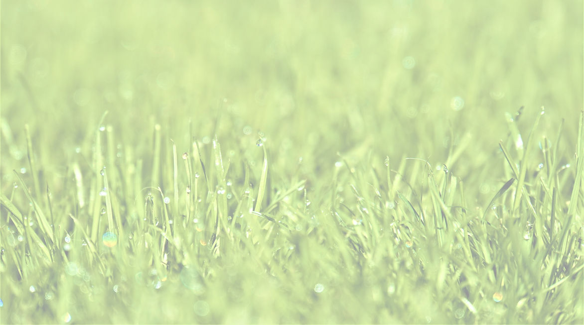 Grass1_edited_edited.jpg