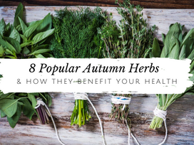 8 Popular Autumn Herbs That Can Help Improve Your Health