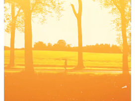 March Daily Walking Challenge