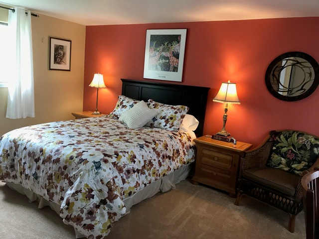 Luxury Bedroom