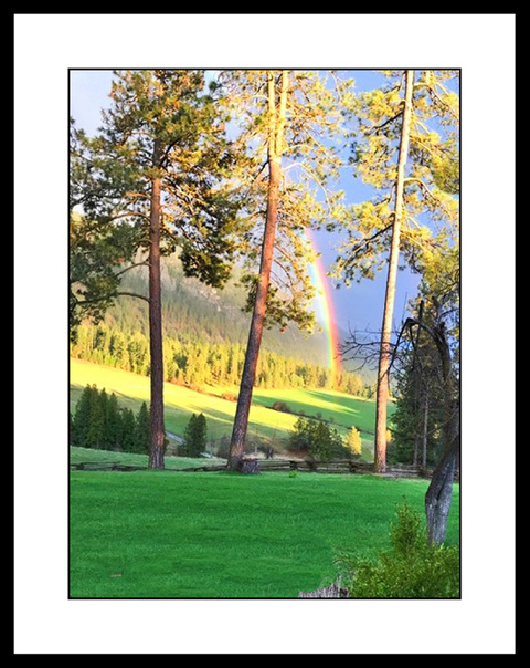 rainbow