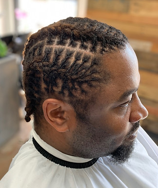 Natural hair Brotherlocks styled by licensed cosmetologist in Florida