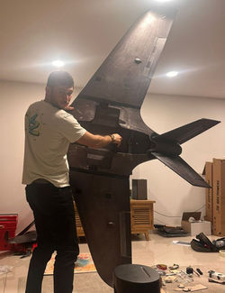 Its a bird ? Its a plane ? No its a monowing