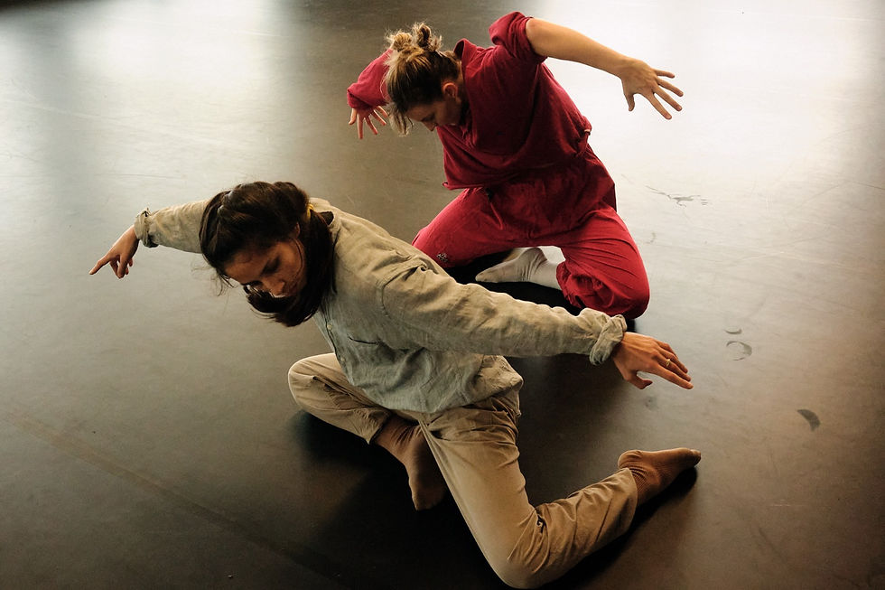 Internation Dance Workshop
