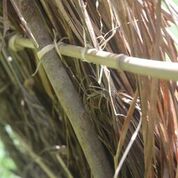 Shelter detail