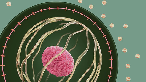 PORTADA REEL MOGRT_edited.jpg