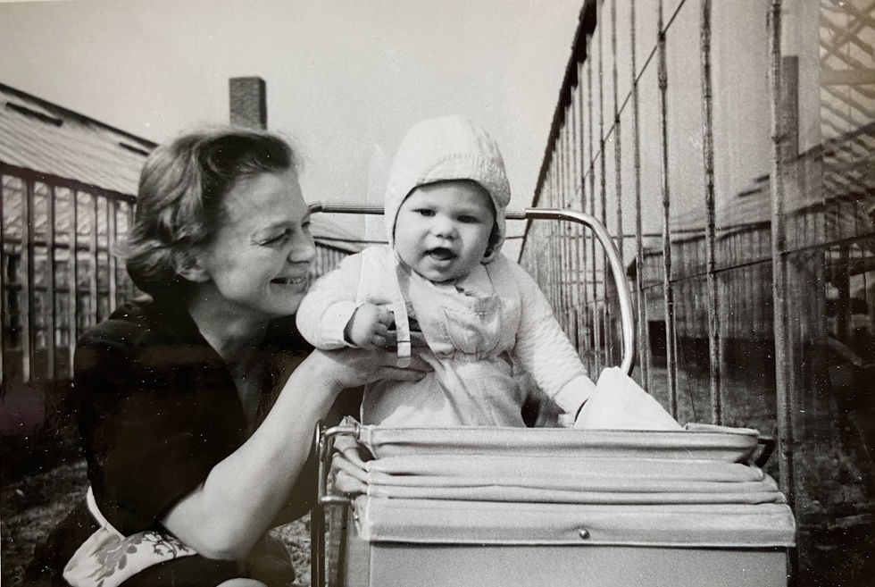En tidig bild på Ninnie och Lars Klitte vid gurkodlingen.
