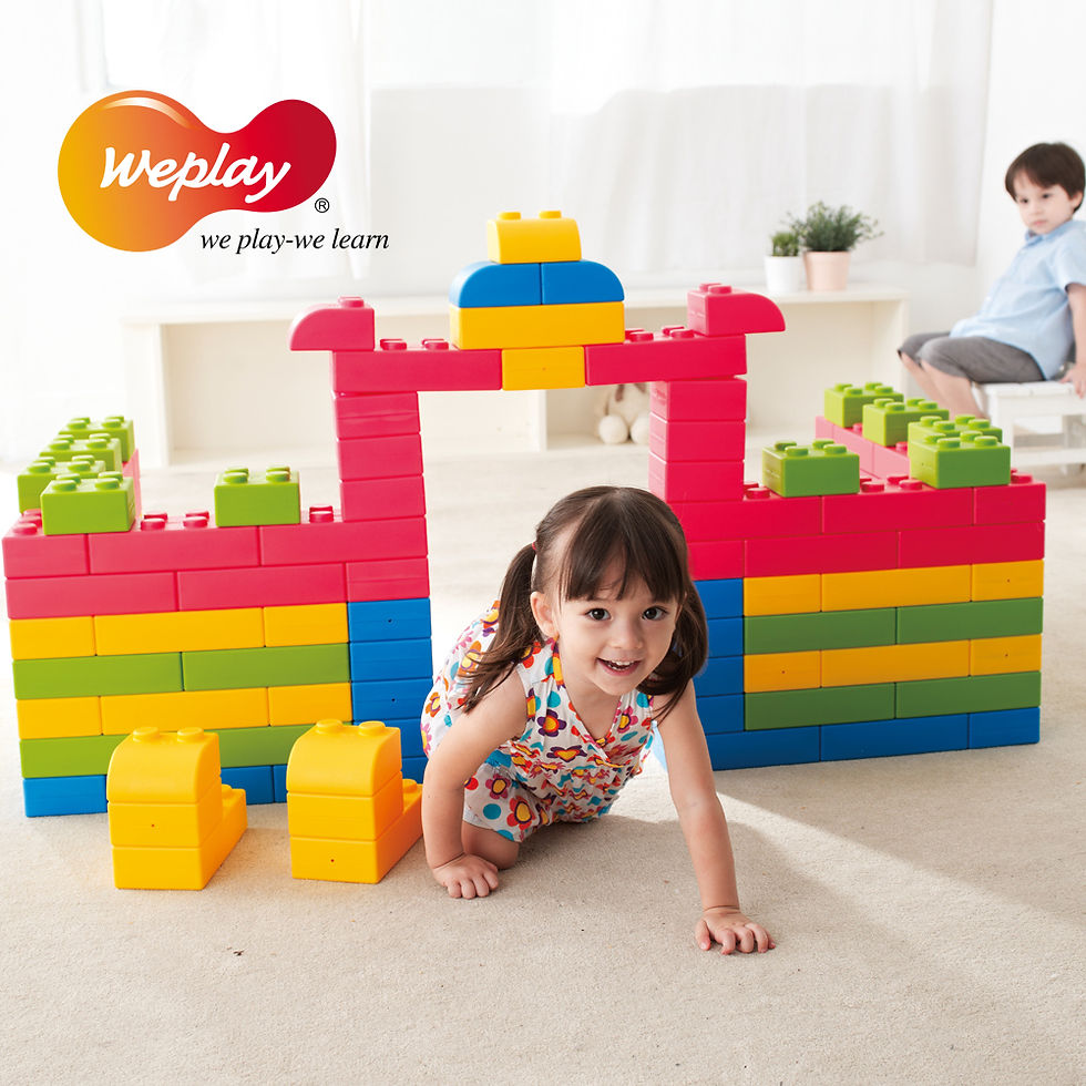 縮圖：Weplay 巧巧大積木 - 家庭組/Weplay Q-Blocks