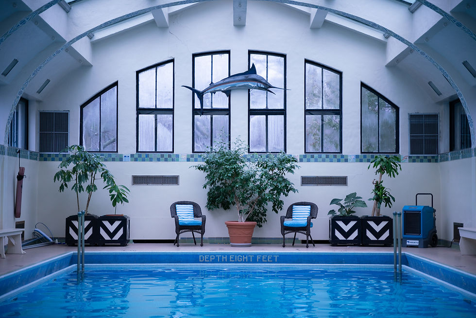 Indoor pool with clear blue water, plants, and wicker chairs. Marlin decor hangs above. "Depth Eight Feet" text on pool edge. Tranquil mood.