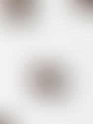 Brewing the Perfect Cup