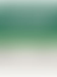 The Heart Behind the Counter