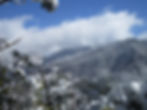 Snow-covered trees in the foreground with snowy mountains and a cloudy, blue sky in the background. Peaceful winter scenery.