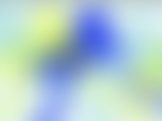 Inside the mind, body, and soul of the Female Student Athlete