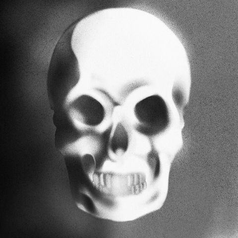 Skull