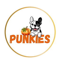Copy of Punkies Icon Website.png