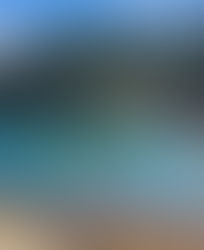 Biodiversity, Landscape, and Conservation in Churston, South Devon