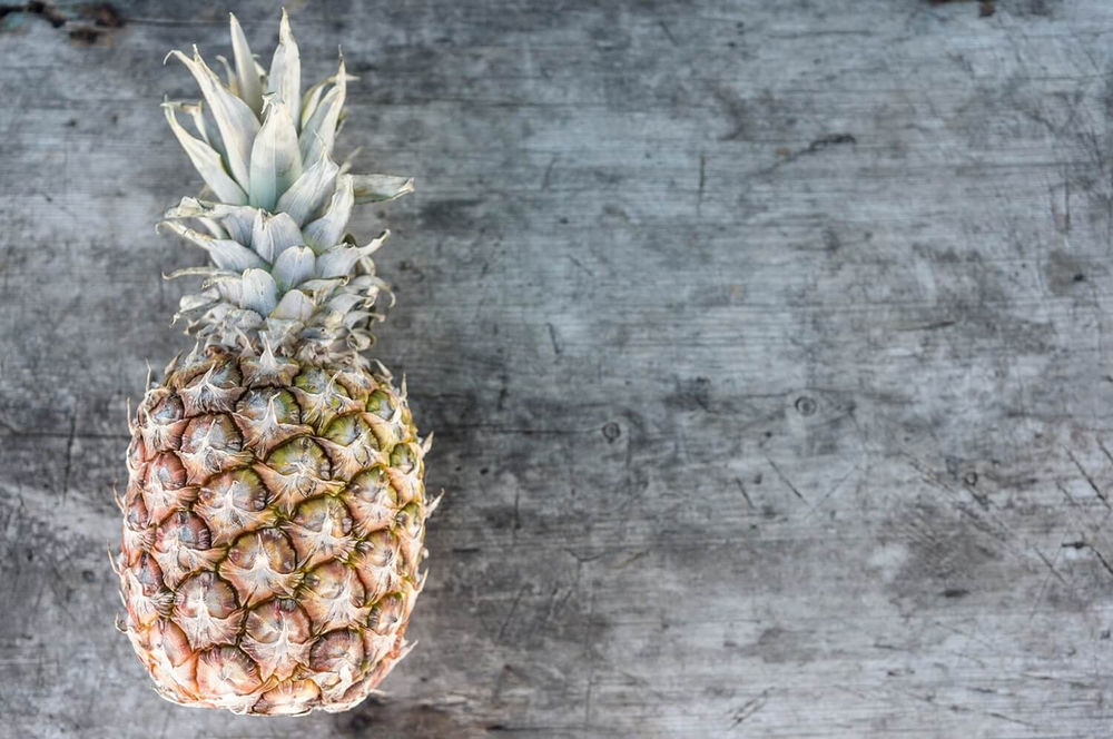 Plant Based Leather A Complete Guide to the New Frontier of Leather