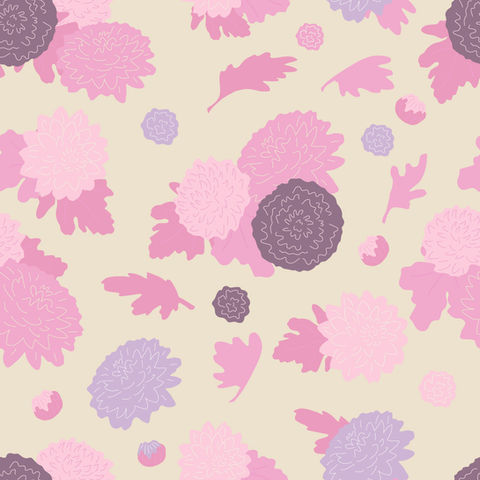 Chrystanthemum-Garden-Pop-pink-Natural