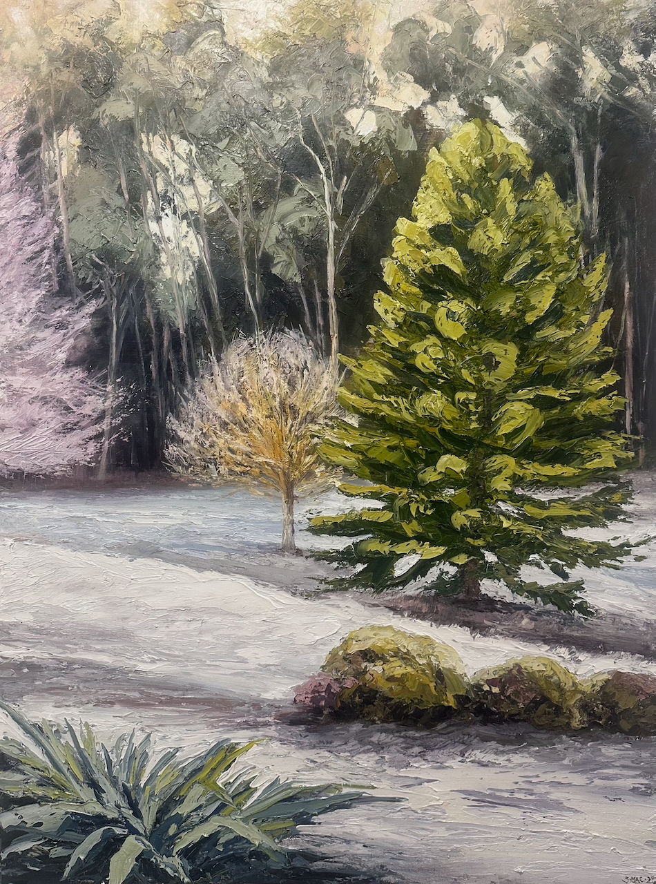 “Dawn Light Over Frost”