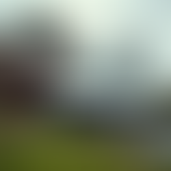 Why Mobile Mechanic Benefits Are Perfect for Whangaparāoa