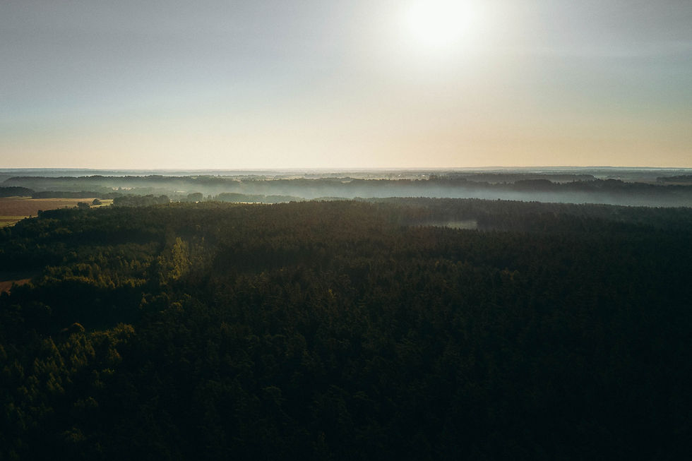 Natūrali ir kaimiška aplinka šalia namelio. Nuotraukos asmeninis Kupetaitė archyvas