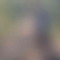 Iš gyvenimo Dzūkijos gamtoje. Nuotraukos Get Lost Cabins archyvas