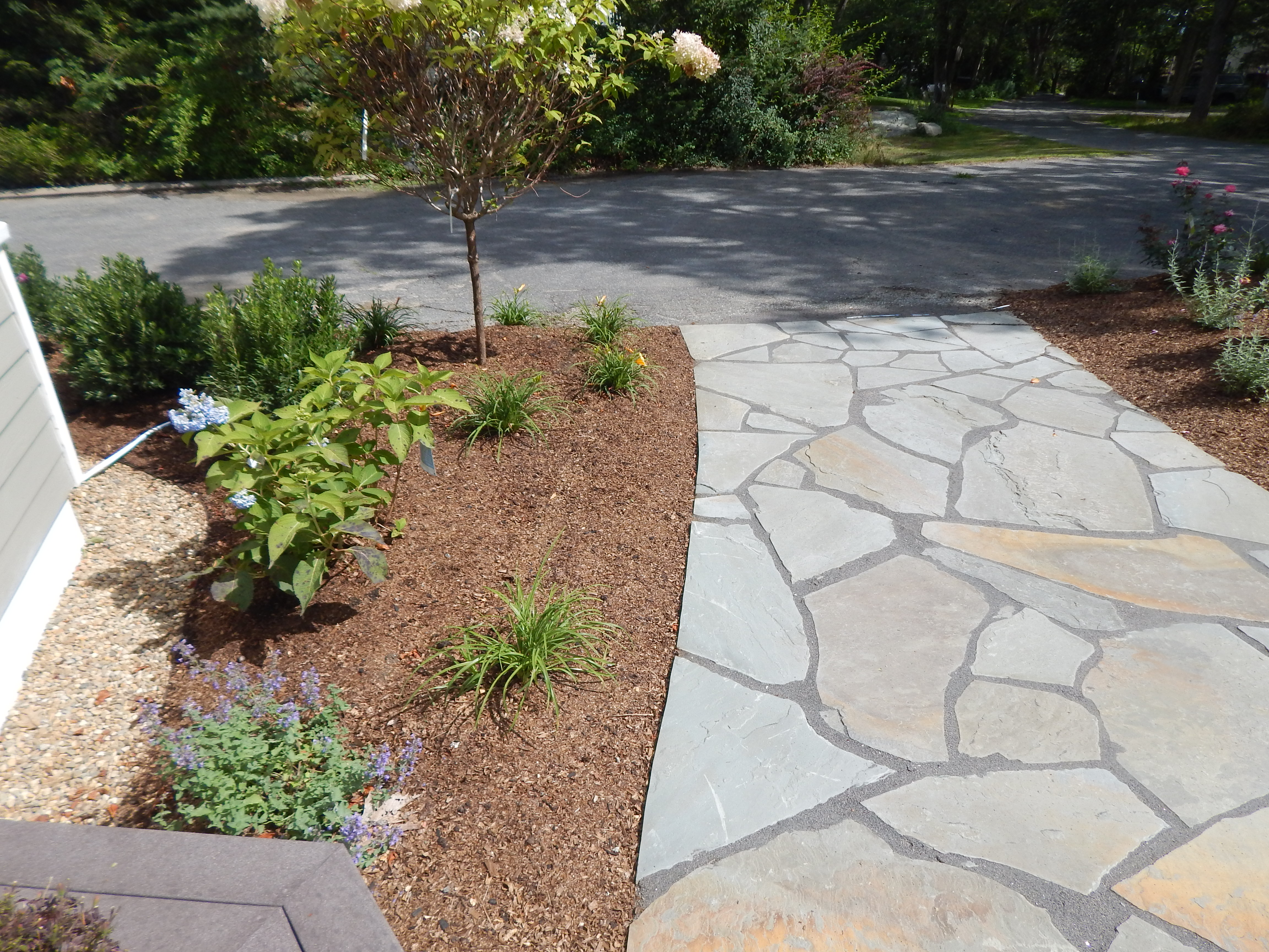 Bluestone Walkway