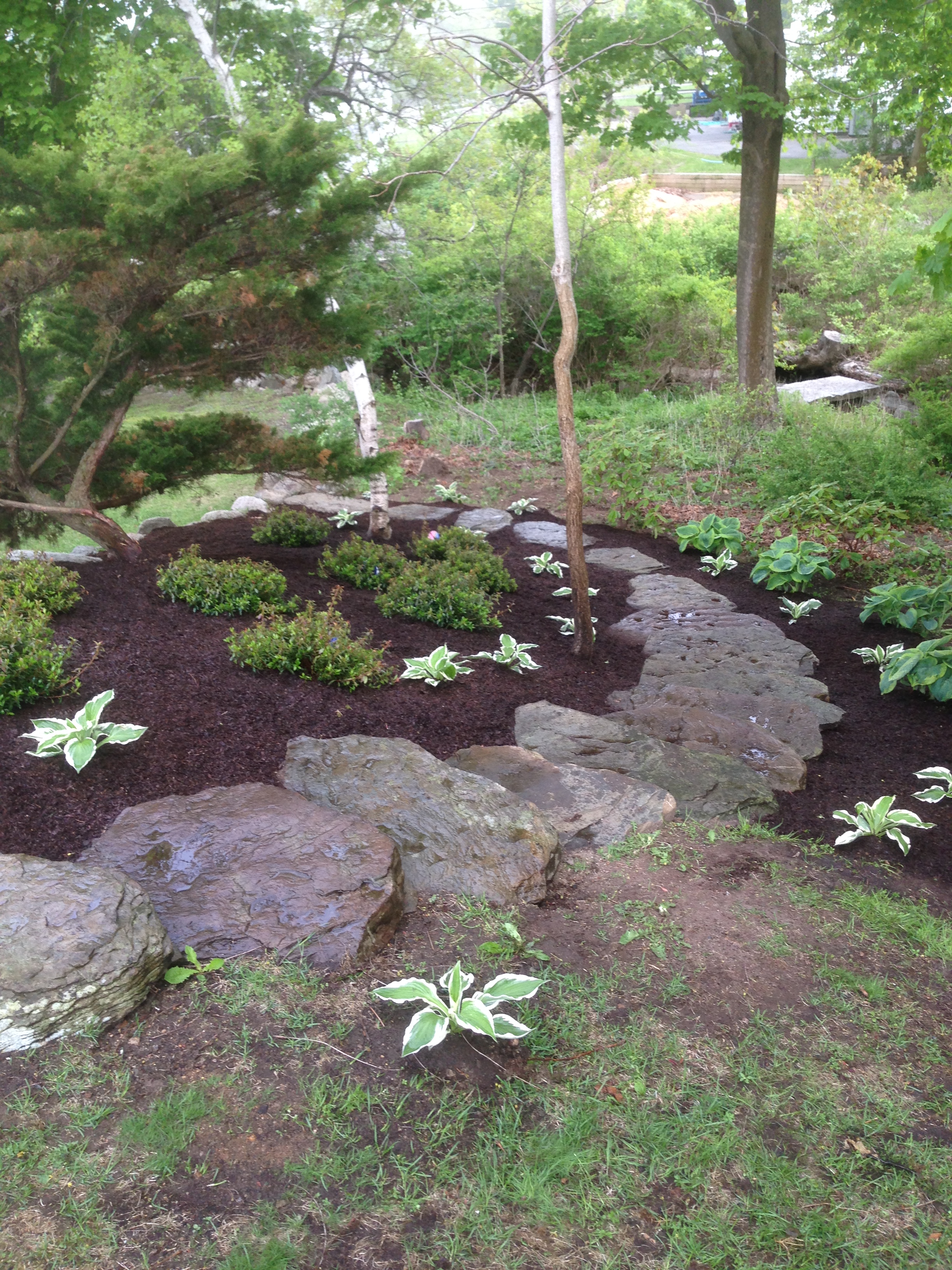Stepping Stone Steps and Path