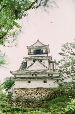 kouchi castle