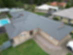 Woodland Grey 4.jpg