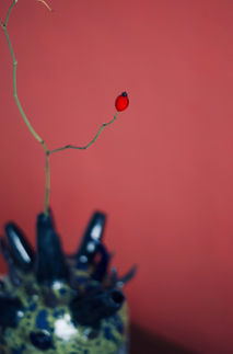 _DSC0093.jpeg