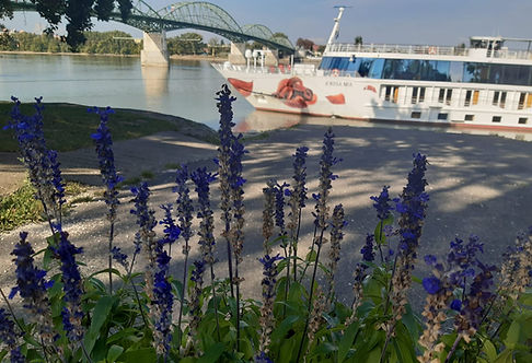 WhatsApp Bild 2025-10-21 um 00.24_edited.jpg