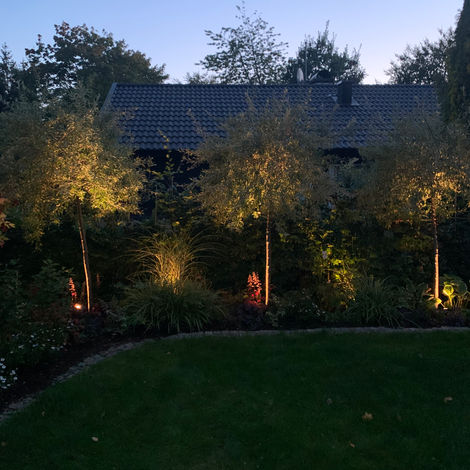 Belysning, silverpäron