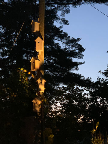 fågelholk, telefonstolpe, belysning