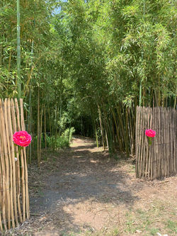 Entrée Jardin Japonais 1