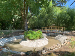 Jardin Japonais 2025 8