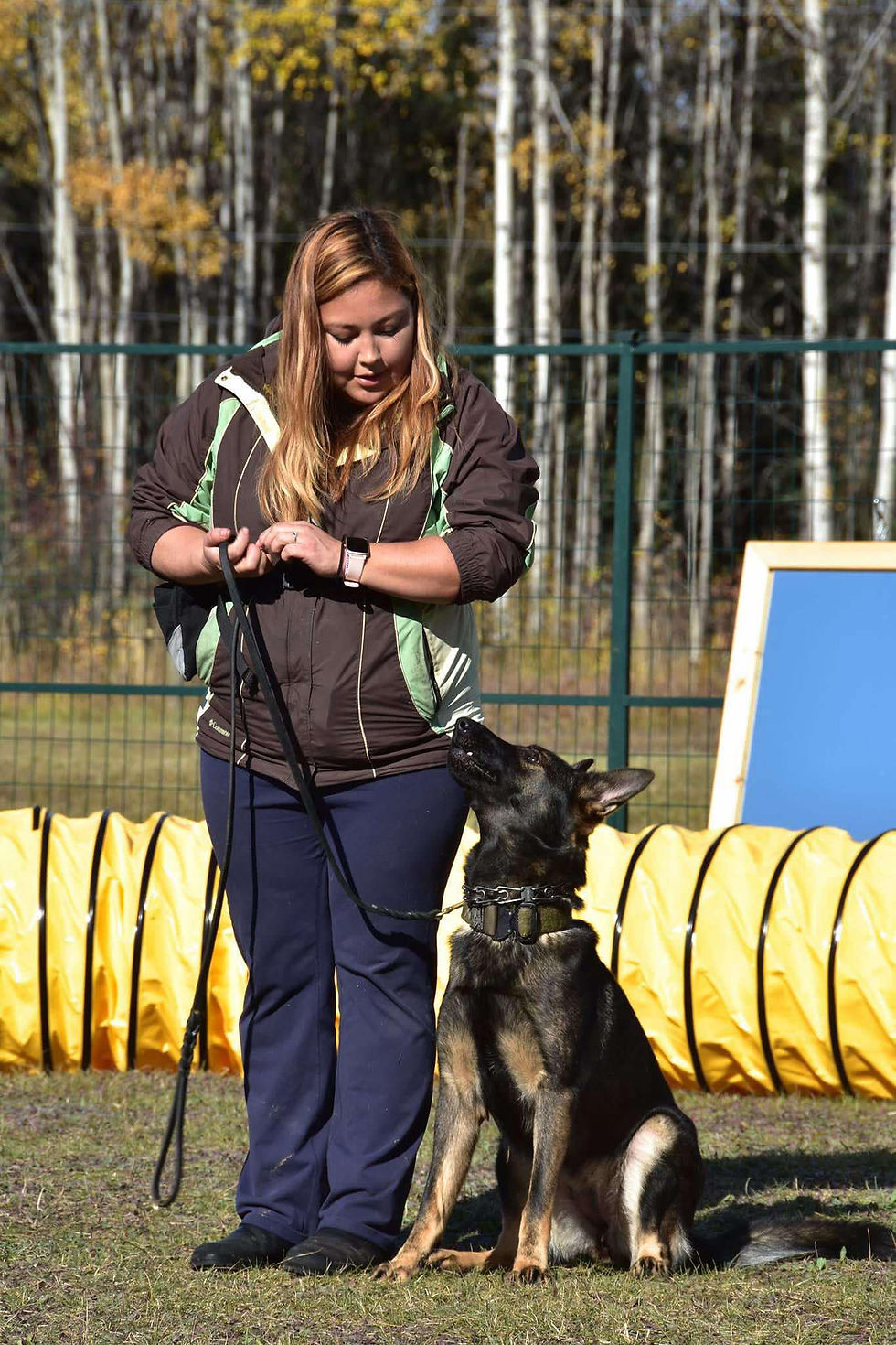 Would You Join a Level 2 Obedience Class?