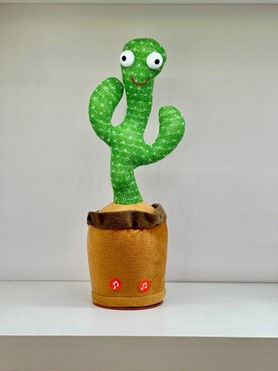 CACTUS BAILARÍN