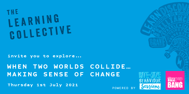 When two world collide_ Making sense of change