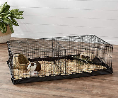 Rabbit resting inside Amazon Basics pet cage with divider.