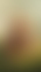 Illustration of a happy, round dog lying on grass with a surprised expression as a playful cat sits on its back, conveying humor, companionship, and supportive care for pets.