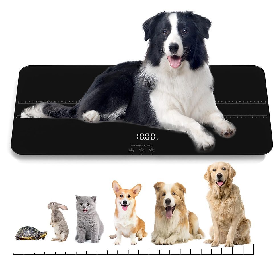 Photo of a digital pet scale used for tracking weight changes in large cats or small dogs.