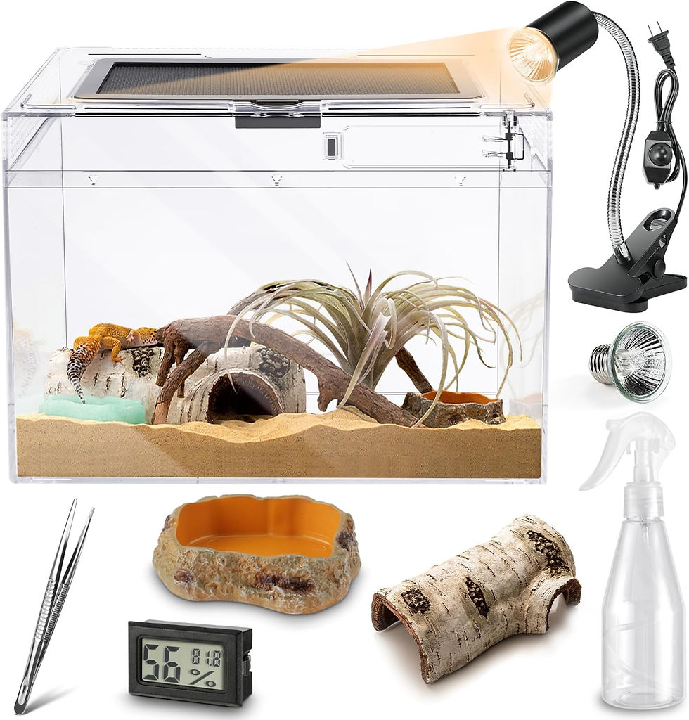 Small clear terrarium with sliding screen top, ventilation panels, and included accessories like a hygrometer, hide cave, tweezers, and sprayer.