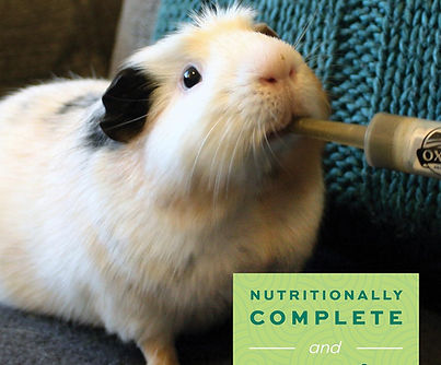 Oxbow herbivore emergency assist feeding formula for rabbits, guinea pigs, and small pets.