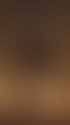 Illustration of a dog lying calmly in front of a door protected with a scratch guard, representing solutions to prevent dogs from scratching doors.